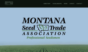 Mtseedtrade.com thumbnail