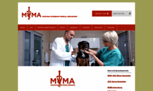 Mtvma.org thumbnail