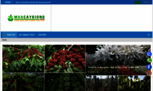 Muacaygiong.com thumbnail