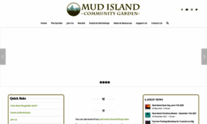 Mudisland.ie thumbnail