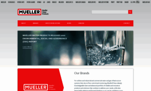 Muellerwaterproducts.com thumbnail