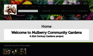 Mulberrycommunitygardens.org thumbnail