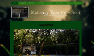 Mulberrytreepreschool.com thumbnail