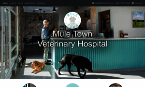 Muletownvet.com thumbnail