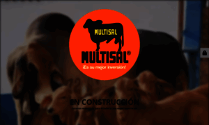 Multisal.com.co thumbnail