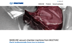 Multivac-baseline.com thumbnail