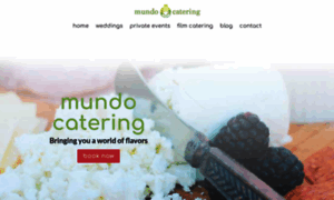 Mundocateringco.com thumbnail