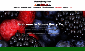 Munozberry.com thumbnail