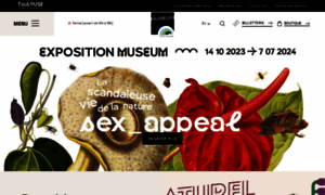 Museum.toulouse.fr thumbnail