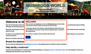 Mushroom.world thumbnail