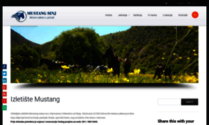 Mustang-sinj.net thumbnail