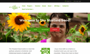 Mustardseedinc.org thumbnail