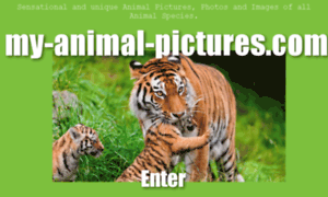 My-animal-pictures.com thumbnail