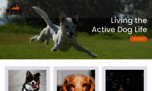 Myactivedog.com thumbnail