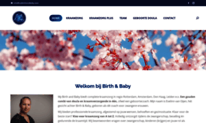 Mybirthandbaby.com thumbnail