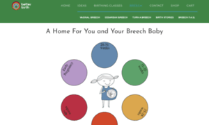 Mybreechbaby.org thumbnail