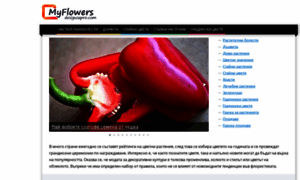 Myflower.desigusxpro.com thumbnail