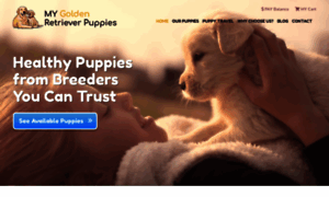 Mygoldenretrieverpuppies.com thumbnail