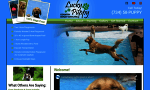 Myluckypuppy.com thumbnail