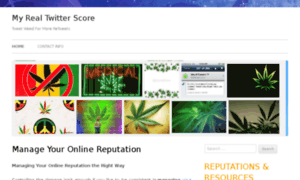 Myrealtwitterscore.com thumbnail