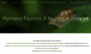 Myrmecofourmis.fr thumbnail