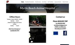 Myrtlebeachanimalhospital.com thumbnail