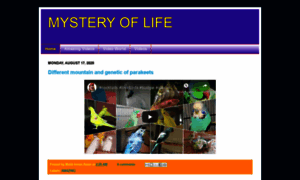 Mystery4life.blogspot.com thumbnail