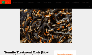 Mytermitetreatmentcosts.com thumbnail