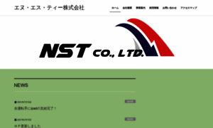 N-s-t.co.jp thumbnail