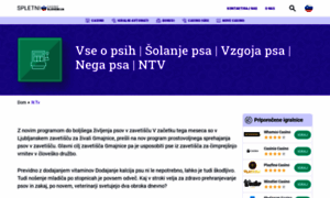 N-tv.si thumbnail