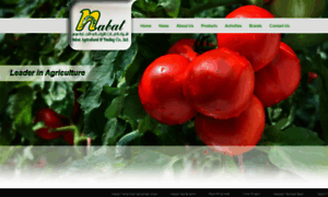 Nabat.com thumbnail