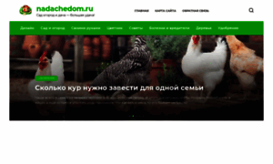 Nadachedom.ru thumbnail