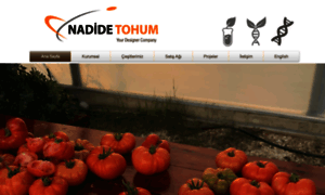 Nadidetohum.com thumbnail