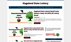 Nagalandlotteryresultstoday.com thumbnail