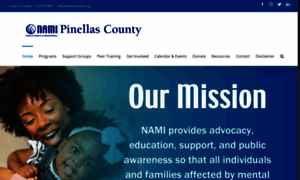 Nami-pinellas.org thumbnail