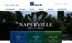 Naperville.il.us thumbnail