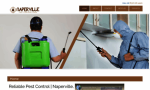 Napervillepestcontrolpros.com thumbnail