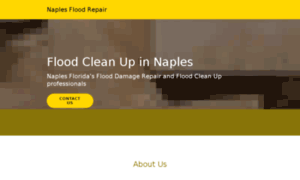 Naplesfloodrepair.com thumbnail