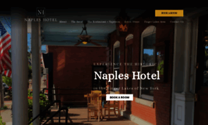 Napleshotelny.com thumbnail