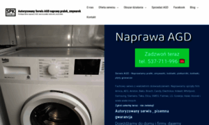 Naprawa-serwis.com.pl thumbnail