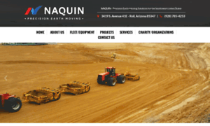 Naquinprecision.com thumbnail