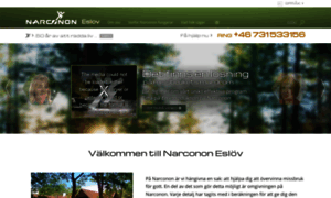 Narconon-eslov.org thumbnail