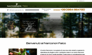 Narconon-falco.it thumbnail