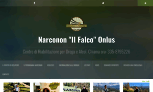 Narcononfalco.it thumbnail