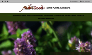 Native-roots.net thumbnail