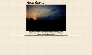 Nativeamerica.com thumbnail