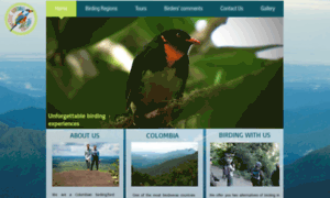 Nativebirdingcolombia.com thumbnail