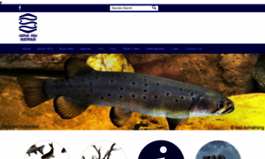 Nativefish.asn.au thumbnail