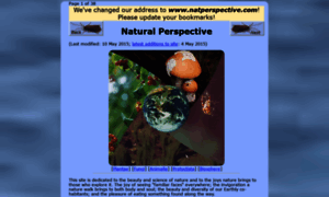 Natperspective.com thumbnail