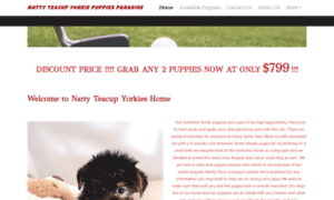 Nattyteacupyorkiepups.site thumbnail